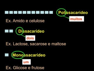 Polissacarídeo
Dissacarídeo
muitos
dois
Monossacarídeo
um
Ex. Amido e celulose
Ex. Lactose, sacarose e maltose
Ex. Glicose e frutose
 