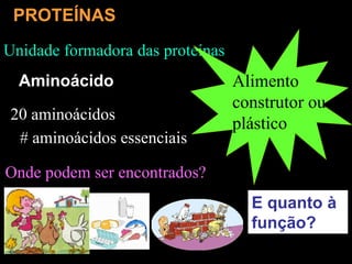 Unidade formadora das proteínas
Alimento
construtor ou
plástico
20 aminoácidos
# aminoácidos essenciais
PROTEÍNAS
Aminoácido
E quanto à
função?
Onde podem ser encontrados?
 