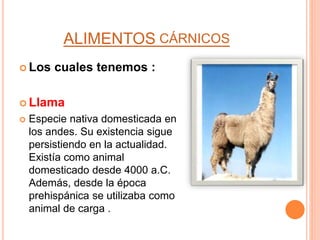 ALIMENTOS CÁRNICOS
 Los cuales tenemos :
 Llama
 Especie nativa domesticada en
los andes. Su existencia sigue
persistiendo en la actualidad.
Existía como animal
domesticado desde 4000 a.C.
Además, desde la época
prehispánica se utilizaba como
animal de carga .
 