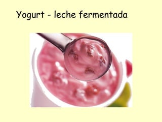Yogurt - leche fermentada
 