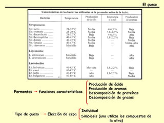 Fermentos funciones características
Producción de ácido
Producción de aromas
Descomposición de proteínas
Descomposición de grasas
Tipo de queso Elección de cepa
Individual
Simbiosis (una utiliza los compuestos de
la otra)
El queso
 