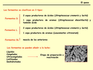 Fermentos DL
Fermentos D
1 cepa productora de aromas (Streptococcus diacetilactis) y
también ácido
Los fermentos se clasifican en 3 tipos:
2 cepas productoras de ácidos (Streptococcus cremoris y lactis)
Fermentos L
2 cepas productoras de ácidos (Streptococcus cremoris y lactis)
1 cepa productora de aromas (Leuconostoc citrovorum)
mezcla de los anteriores
Ultracongelados
Liofilizados
Deshidratados
Los fermentos se pueden añadir a la leche:
Líquidos
Congelados Etapa de preparación o
reactivación
El queso
 