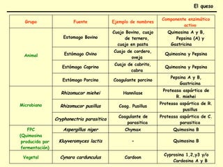 Grupo Fuente Ejemplo de nombres
Componente enzimático
activo
Animal
Estomago Bovino
Cuajo Bovino, cuajo
de ternero,
cuajo en pasta
Quimosina A y B,
Pepsina (A) y
Gastricina
Estómago Ovino
Cuajo de cordero,
oveja
Quimosina y Pepsina
Estómago Caprino
Cuajo de cabrito,
cabra
Quimosina y Pepsina
Estómago Porcino Coagulante porcino
Pepsina A y B,
Gastricina
Microbiano
Rhizomucor miehei Hannilase
Proteasa aspártica de
R. miehei
Rhizomucor pusillus Coag. Pusillus
Proteasa aspártica de R.
pusillus
Cryphonectria parasitica
Coagulante de
parasitica
Proteasa aspártica de C.
parasitica
FPC
(Quimosina
producida por
fermentación)
Aspergillus niger Chymax Quimosina B
Kluyveromyces lactis - Quimosina B
Vegetal Cynara cardunculus Cardoon
Cyprosina 1,2,y3 y/o
Cardosina A y B
El queso
 
