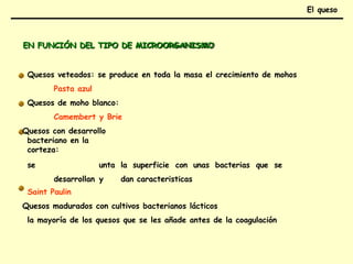 EN FUNCIÓN DEL TIPO DE MICROORGANISMO
Quesos veteados: se produce en toda la masa el crecimiento de mohos
Pasta azul
Quesos de moho blanco:
Camembert y Brie
Quesos con desarrollo
bacteriano en la
corteza:
se unta la superficie con unas bacterias que se
desarrollan y dan caracteristicas
Saint Paulin
Quesos madurados con cultivos bacterianos lácticos
la mayoría de los quesos que se les añade antes de la coagulación
El queso
 