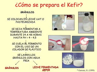¿Cómo se prepara el Kefir?
GRÁNULOS LECHE FERMENTADA:
KEFIR
GRÁNULOS
SE COLOCAN EN LECHE UAT O
PASTEURIZADA
SE DEJA FERMENTAR A
TEMPERATURA AMBIENTE
DURANTE 24 A 48 HORAS
HASTA PH = 4 – 4,5
SE CUELA EL FERMENTO
CON EL USO DE UN
COLADOR DE PLÁSTICO
SE LAVAN LOS
GRÁNULOS CON AGUA
FRIA
* Garrote, G. (1999)
 