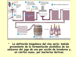 • La definición bioquímica del vino sería: bebida
proveniente de la fermentación alcohólica de los
azúcares del jugo de uva por acción de levaduras y,
en ciertos casos, por bacterias lácticas.
 