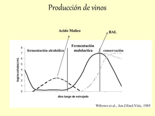 Producción de vinos
Fermentación
malolactica
BAL
Acido Malico
 
