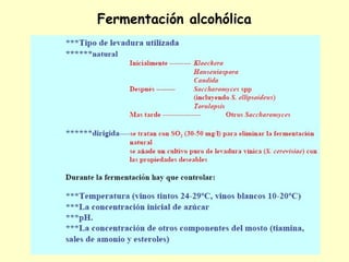 Fermentación alcohólica
 
