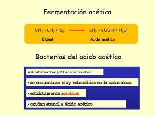 Fermentación acética
Bacterias del acido acético
CH3 - CH2 + O2
Etanol
CH3 - COOH + H2O
Ácido acético
 