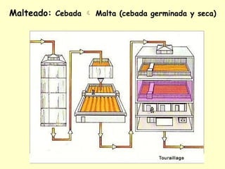 Malteado: Cebada  Malta (cebada germinada y seca)
 