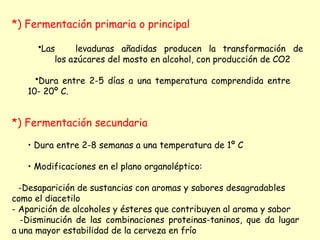 *) Fermentación primaria o principal
•Las levaduras añadidas producen la transformación de
los azúcares del mosto en alcohol, con producción de CO2
•Dura entre 2-5 días a una temperatura comprendida entre
10- 20º C.
*) Fermentación secundaria
• Dura entre 2-8 semanas a una temperatura de 1º C
• Modificaciones en el plano organoléptico:
-Desaparición de sustancias con aromas y sabores desagradables
como el diacetilo
- Aparición de alcoholes y ésteres que contribuyen al aroma y sabor
-Disminución de las combinaciones proteinas-taninos, que da lugar
a una mayor estabilidad de la cerveza en frío
 
