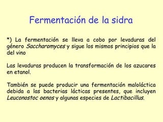 Fermentación de la sidra
*) La fermentación se lleva a cobo por levaduras del
género Saccharomyces y sigue los mismos principios que la
del vino
Las levaduras producen la transformación de los azucares
en etanol.
También se puede producir una fermentación maloláctica
debida a las bacterias lácticas presentes, que incluyen
Leuconostoc oenos y algunas especies de Lactibacillus.
 