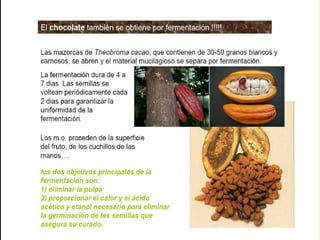 alimentos fermentados bbbbbbbbbbbbbbbbbbbbbbbbbbbbbbbbbbbbbbbbbbbbbbbbb