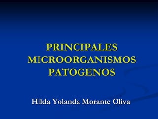 PRINCIPALES
MICROORGANISMOS
   PATOGENOS

Hilda Yolanda Morante Oliva
 