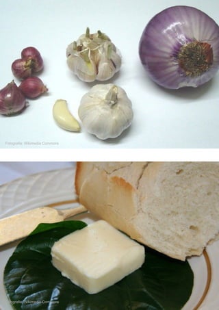 MUNDO DOS ANIMAIS
Fotografia: Wikimedia Commons
Fotografia: Wikimedia Commons
 