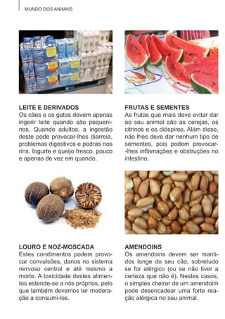 MUNDO DOS ANIMAIS
LEITE E DERIVADOS
Os cães e os gatos devem apenas
ingerir leite quando são pequeni-
nos. Quando adultos, a ingestão
deste pode provocar-lhes diarreia,
problemas digestivos e pedras nos
rins. Iogurte e queijo fresco, pouco
e apenas de vez em quando.
FRUTAS E SEMENTES
As frutas que mais deve evitar dar
ao seu animal são as cerejas, os
citrinos e os dióspiros. Além disso,
não lhes deve dar nenhum tipo de
sementes, pois podem provocar-
-lhes inflamações e obstruções no
intestino.
LOURO E NOZ-MOSCADA
Estes condimentos podem provo-
car convulsões, danos no sistema
nervoso central e até mesmo a
morte. A toxicidade destes alimen-
tos estende-se a nós próprios, pelo
que também devemos ter modera-
ção a consumi-los.
AMENDOINS
Os amendoins devem ser manti-
dos longe do seu cão, sobretudo
se for alérgico (ou se não tiver a
certeza que não é). Nestes casos,
o simples cheirar de um amendoim
pode desencadear uma forte rea-
ção alérgica no seu animal.
 
