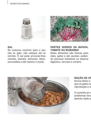 MUNDO DOS ANIMAIS
SAL
Se costuma cozinhar para o seu
cão ou gato, não coloque sal na
comida. O sal pode provocar-lhes
vómitos, diarreia, tremores, febre,
convulsões e até mesmo a morte.
PARTES VERDES DA BATATA,
TOMATE OU RUIBARBO
Estes alimentos são tóxicos para
cães, gatos e até cavalos; poden-
do provocar distúrbios no sistema
digestivo, nervoso e urinário.
RAÇÃO DE CÃ
Nunca deixe o s
que os gatos ne
reprodução e at
O contrário já nã
problemas rena
apenas ração p
 