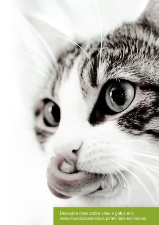 www.mundodosanimais.pt
Descubra mais sobre cães e gatos em:
www.mundodosanimais.pt/animais-estimacao
 