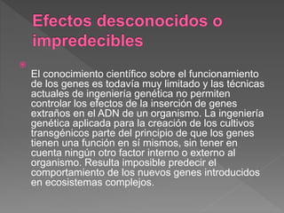 
El conocimiento científico sobre el funcionamiento
de los genes es todavía muy limitado y las técnicas
actuales de ingeniería genética no permiten
controlar los efectos de la inserción de genes
extraños en el ADN de un organismo. La ingeniería
genética aplicada para la creación de los cultivos
transgénicos parte del principio de que los genes
tienen una función en sí mismos, sin tener en
cuenta ningún otro factor interno o externo al
organismo. Resulta imposible predecir el
comportamiento de los nuevos genes introducidos
en ecosistemas complejos.
 