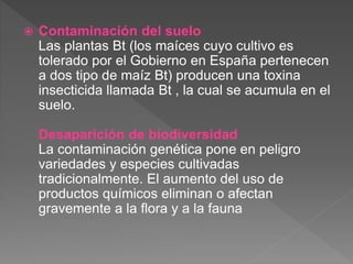  Contaminación del suelo
Las plantas Bt (los maíces cuyo cultivo es
tolerado por el Gobierno en España pertenecen
a dos tipo de maíz Bt) producen una toxina
insecticida llamada Bt , la cual se acumula en el
suelo.
Desaparición de biodiversidad
La contaminación genética pone en peligro
variedades y especies cultivadas
tradicionalmente. El aumento del uso de
productos químicos eliminan o afectan
gravemente a la flora y a la fauna
 