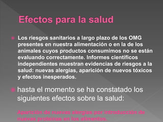  Los riesgos sanitarios a largo plazo de los OMG
presentes en nuestra alimentación o en la de los
animales cuyos productos consumimos no se están
evaluando correctamente. Informes científicos
independientes muestran evidencias de riesgos a la
salud: nuevas alergias, aparición de nuevos tóxicos
y efectos inesperados.
 hasta el momento se ha constatado los
siguientes efectos sobre la salud:
Aparición de nuevas alergias por introducción de
nuevas proteínas en los alimentos.
 