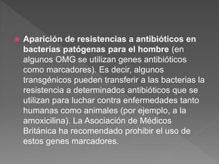  Aparición de resistencias a antibióticos en
bacterias patógenas para el hombre (en
algunos OMG se utilizan genes antibióticos
como marcadores). Es decir, algunos
transgénicos pueden transferir a las bacterias la
resistencia a determinados antibióticos que se
utilizan para luchar contra enfermedades tanto
humanas como animales (por ejemplo, a la
amoxicilina). La Asociación de Médicos
Británica ha recomendado prohibir el uso de
estos genes marcadores.
 