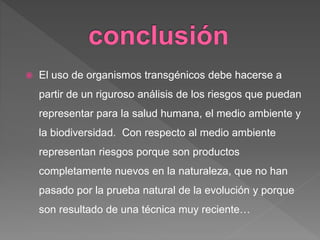  El uso de organismos transgénicos debe hacerse a
partir de un riguroso análisis de los riesgos que puedan
representar para la salud humana, el medio ambiente y
la biodiversidad. Con respecto al medio ambiente
representan riesgos porque son productos
completamente nuevos en la naturaleza, que no han
pasado por la prueba natural de la evolución y porque
son resultado de una técnica muy reciente…
 