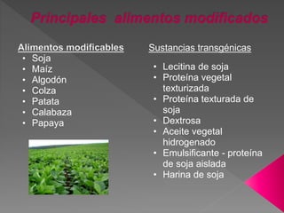• Soja
• Maíz
• Algodón
• Colza
• Patata
• Calabaza
• Papaya
Sustancias transgénicas
• Lecitina de soja
• Proteína vegetal
texturizada
• Proteína texturada de
soja
• Dextrosa
• Aceite vegetal
hidrogenado
• Emulsificante - proteína
de soja aislada
• Harina de soja
 