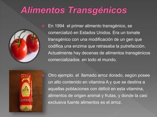  En 1994 el primer alimento transgénico, se
comercializó en Estados Unidos. Era un tomate
transgénico con una modificación de un gen que
codifica una enzima que retrasaba la putrefacción.
Actualmente hay decenas de alimentos transgénicos
comercializados en todo el mundo.
 Otro ejemplo. el llamado arroz dorado, según posee
un alto contenido en vitamina A y que se destina a
aquellas poblaciones con déficit en esta vitamina,
alimentos de origen animal y frutas, y donde la casi
exclusiva fuente alimentos es el arroz.
 
