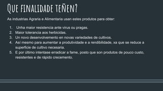 Que finalidade teñen?
As industrias Agraria e Alimentaria usan estes produtos para obter:
1. Unha maior resistencia ante virus ou pragas.
2. Maior tolerancia aos herbicidas.
3. Un novo desenvolvemento en novas variedades de cultivos.
4. Así mesmo para aumentar a produtividade e a rendibilidade, xa que se reduce a
superficie de cultivo necesaria.
5. E por último intentase erradicar a fame, posto que son produtos de pouco custo,
resistentes e de rápido crecemento.
 