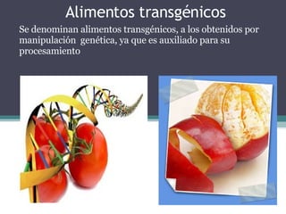 Alimentos transgénicos Se denominan alimentos transgénicos, a los obtenidos por manipulación  genética, ya que es auxiliado para su procesamiento 