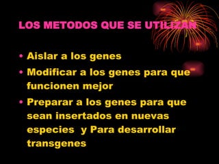 LOS METODOS QUE SE UTILIZAN Aislar a los genes  Modificar a los genes para que funcionen mejor Preparar a los genes para que sean insertados en nuevas especies  y Para desarrollar transgenes  