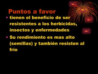 Puntos a favor tienen el beneficio de ser resistentes a los herbicidas, insectos y enfermedades  Su rendimiento es mas alto (semillas) y también resisten al frío 