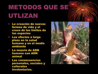 METODOS QUE SE UTLIZAN La creación de nuevas formas de vida y el cruce de los límites de las especies  Los efectos a largo plazo en la salud humana y en el medio ambiente La mezcla de ADN humano con ADN animal  Las consecuencias personales, sociales y culturales involuntarias.  