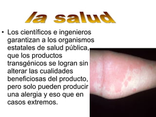 Los científicos e ingenieros garantizan a los organismos estatales de salud pública, que los productos transgénicos se logran sin alterar las cualidades beneficiosas del producto, pero solo pueden producir una alergia y eso que en casos extremos. la salud 