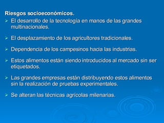 Riesgos socioeconómicos. El desarrollo de la tecnología en manos de las grandes multinacionales. El desplazamiento de los agricultores tradicionales. Dependencia de los campesinos hacia las industrias. Estos alimentos están siendo introducidos al mercado sin ser etiquetados. Las grandes empresas están distribuyendo estos alimentos sin la realización de pruebas experimentales. Se alteran las técnicas agrícolas milenarias. 