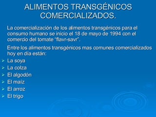 ALIMENTOS TRANSGÉNICOS COMERCIALIZADOS. La comercialización de los alimentos transgénicos para el consumo humano se inicio el 18 de mayo de 1994 con el comercio del tomate “flavr-savr”. Entre los alimentos transgénicos mas comunes comercializados hoy en día están: La soya  La colza El algodón El maíz El arroz El trigo 