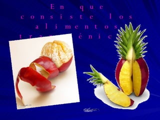 En que consiste los alimentos transgénicos   