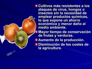 Cultivos más resistentes a los ataques de virus, hongos o insectos sin la necesidad de emplear productos químicos, lo que supone un ahorro económico y menor daño al medio ambiente. Mayor tiempo de conservación de frutas y verduras.  Aumento de la producción.  Disminución de los costes de la agricultura.  