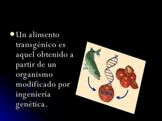 Un alimento transgénico es aquel obtenido a partir de un organismo modificado por ingeniería genética. 