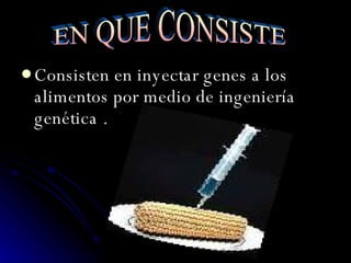 Consisten en inyectar genes a los alimentos por medio de ingeniería genética . EN QUE CONSISTE 