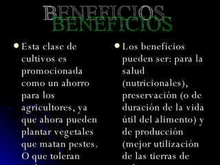 Esta clase de cultivos es promocionada como un ahorro para los agricultores, ya que ahora pueden plantar vegetales que matan pestes. O que toleran poderosos venenos  Los beneficios pueden ser: para la salud (nutricionales), preservación (o de duración de la vida útil del alimento) y de producción (mejor utilización de las tierras de cultivo, menor uso de pesticidas en la producción agrícola).  BENEFICIOS 