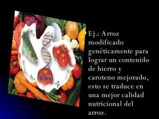 Ej.: Arroz modificado genéticamente para lograr un contenido de hierro y caroteno mejorado, esto se traduce en una mejor calidad nutricional del arroz.  