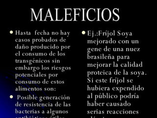 Hasta  fecha no hay casos probados de daño producido por el consumo de los transgénicos sin embargo los riesgos potenciales por consumo de estos alimentos son: Posible generación de resistencia de las bacterias a algunos antibióticos útiles para el ser humo. Reacción alérgica a los nuevos alimentos en personas susceptibles Ej.:Fríjol Soya mejorado con un gene de una nuez brasileña para mejorar la calidad proteica de la soya. Si este fríjol se hubiera expendido al público podría haber causado serias reacciones alérgicas en una fracción de la población alérgica a la nuez de Brasil. MALEFICIOS 