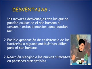 DESVENTAJAS : Las mayores desventajas son las que se pueden causar en el ser humano al consumir estos alimentos como pueden ser : Posible generación de resistencia de las bacterias a algunos antibióticos útiles para el ser humano. Reacción alérgica a los nuevos alimentos en personas susceptibles.     