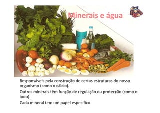 Minerais e água
Responsáveis pela construção de certas estruturas do nosso
organismo (como o cálcio).
Outros minerais têm função de regulação ou protecção (como o
iodo).
Cada mineral tem um papel específico.
 