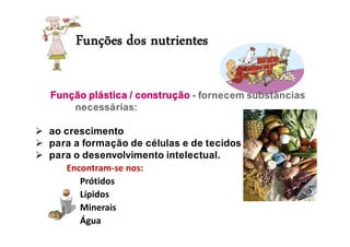 Função plástica / construção - fornecem substâncias
necessárias:
 ao crescimento
 para a formação de células e de tecidos
 para o desenvolvimento intelectual.
Encontram-se nos:
Prótidos
Lípidos
Minerais
Água
 