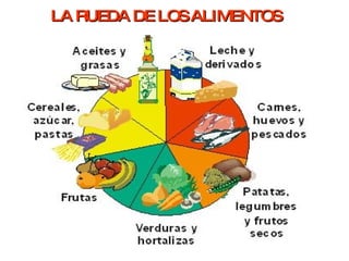 LA RUEDA DE LOS ALIMENTOS 
