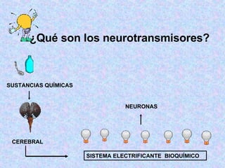 ¿Qué son los neurotransmisores?  SUSTANCIAS QUÍMICAS CEREBRAL SISTEMA ELECTRIFICANTE  BIOQUÍMICO NEURONAS 
