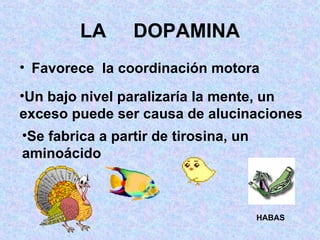 LA  DOPAMINA Favorece  la coordinación motora   Un bajo nivel paralizaría la mente, un exceso puede ser causa de alucinaciones   Se fabrica a partir de tirosina, un aminoácido  HABAS 